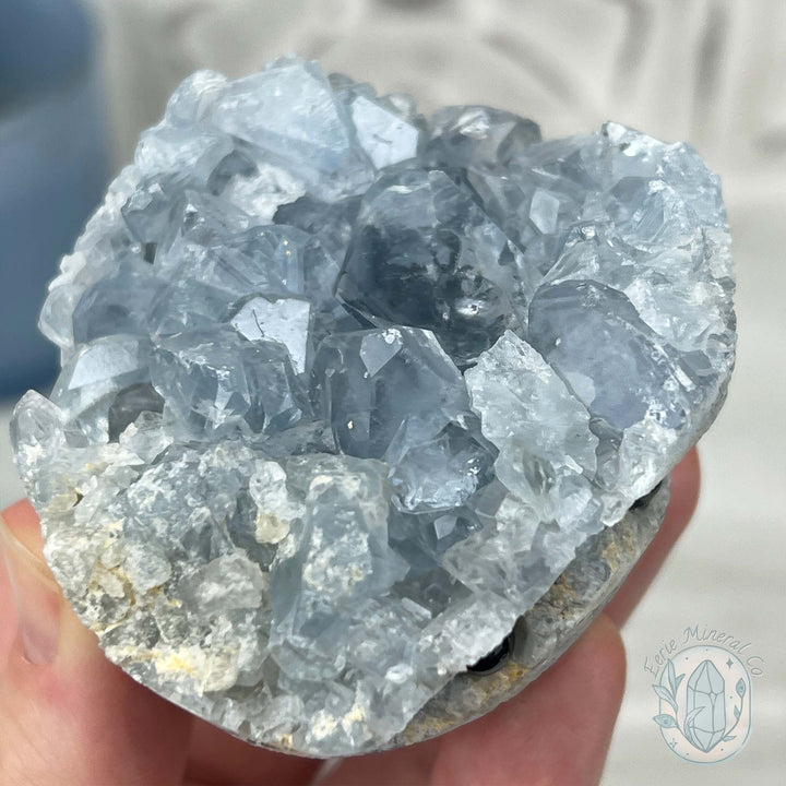 Celestite Crystal Hedgehog Carving Specimen