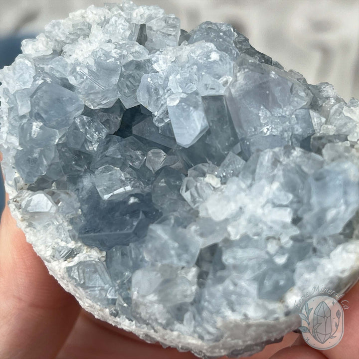 Celestite Crystal Hedgehog Carving Specimen