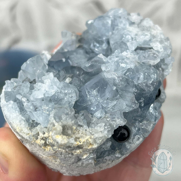 Celestite Crystal Hedgehog Carving Specimen