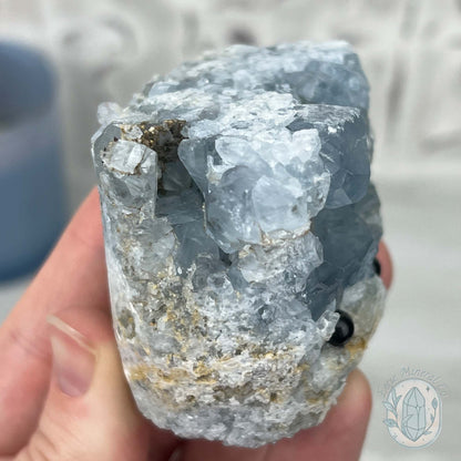 Celestite Crystal Hedgehog Carving Specimen