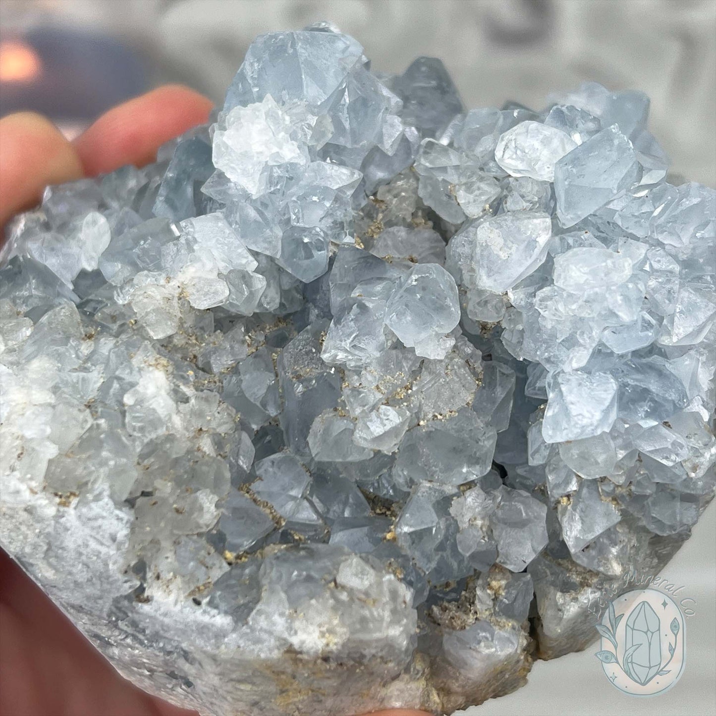 Celestite Crystal Hedgehog Carving Specimen