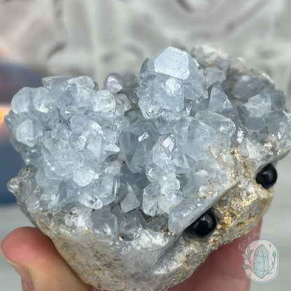 Celestite Crystal Hedgehog Carving Specimen