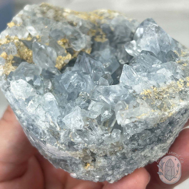 Celestite Crystal Hedgehog Carving Specimen