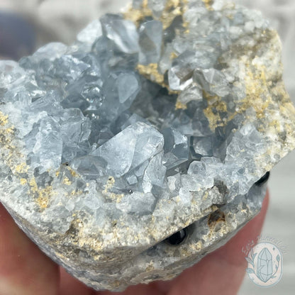 Celestite Crystal Hedgehog Carving Specimen