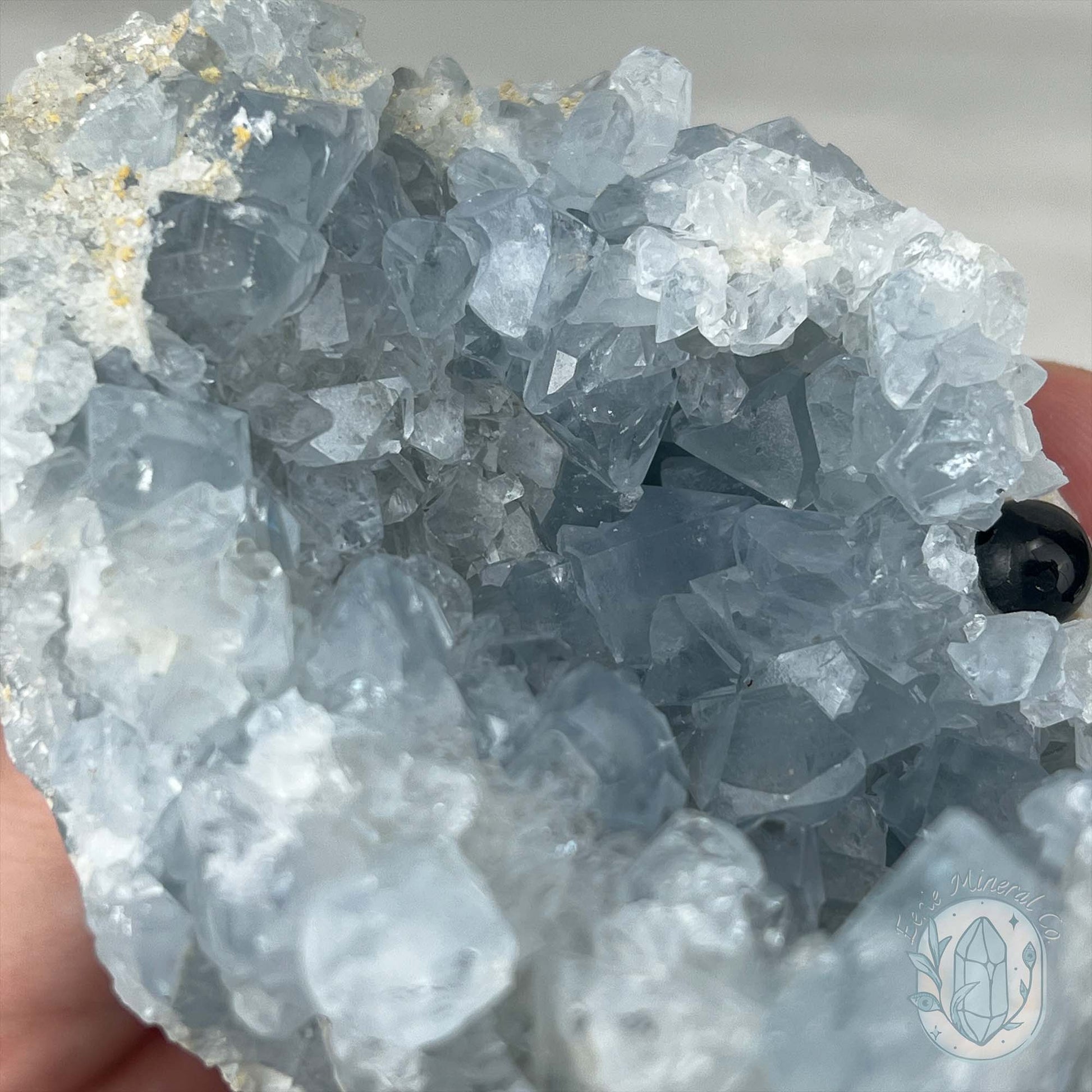 Celestite Crystal Hedgehog Carving Specimen