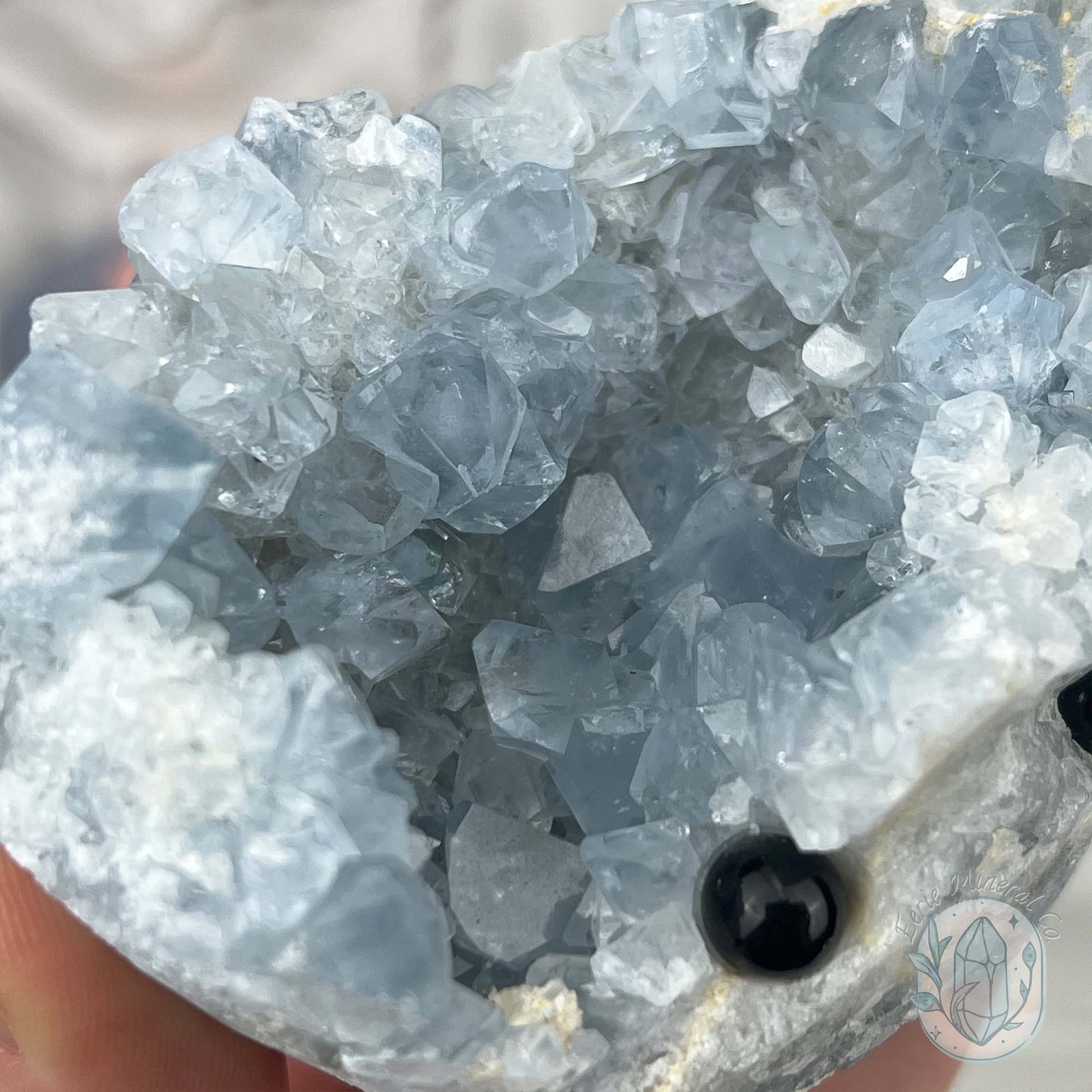 Celestite Crystal Hedgehog Carving Specimen