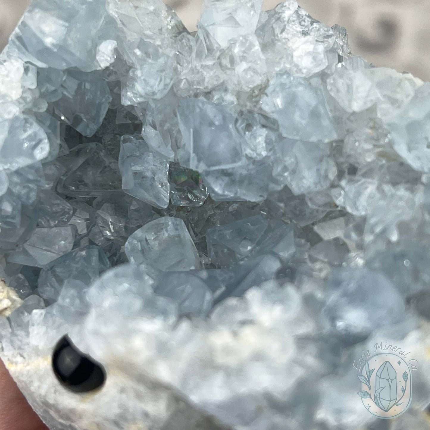 Celestite Crystal Hedgehog Carving Specimen