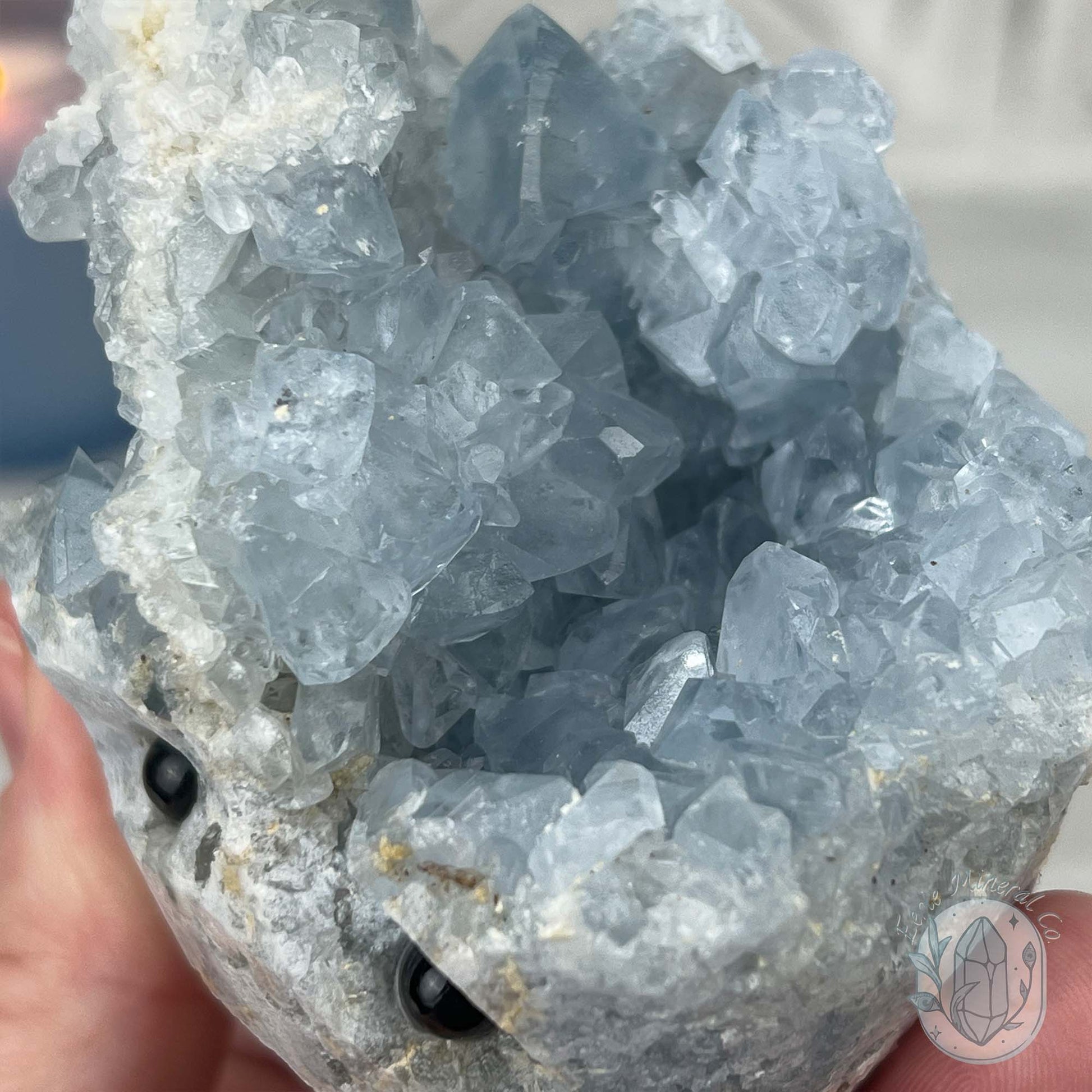 Celestite Crystal Hedgehog Carving Specimen