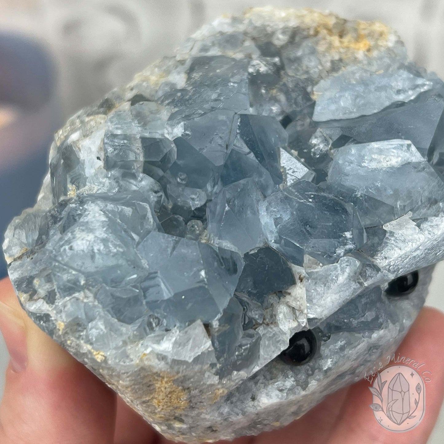 Celestite Crystal Hedgehog Carving Specimen