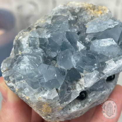 Celestite Crystal Hedgehog Carving Specimen
