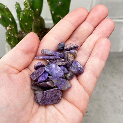 Charoite Tumbled Chips