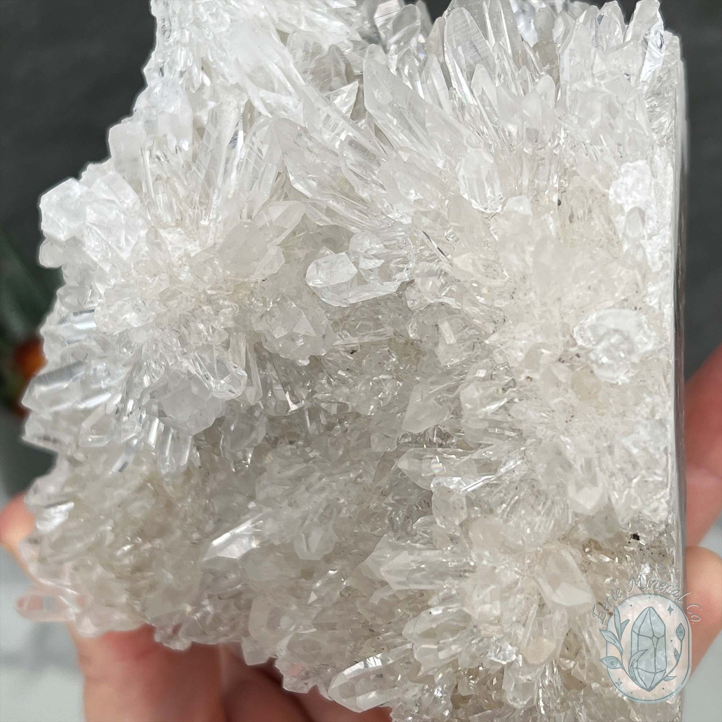 Clear Chrysanthemum Crystal Quartz Cluster House