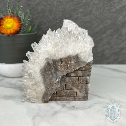 Clear Chrysanthemum Crystal Quartz Cluster House