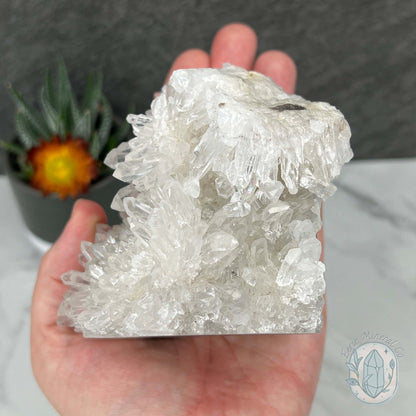 Clear Chrysanthemum Crystal Quartz Cluster House