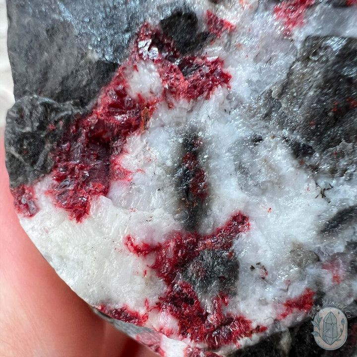 Raw Cinnabar Pet Rock Specimen