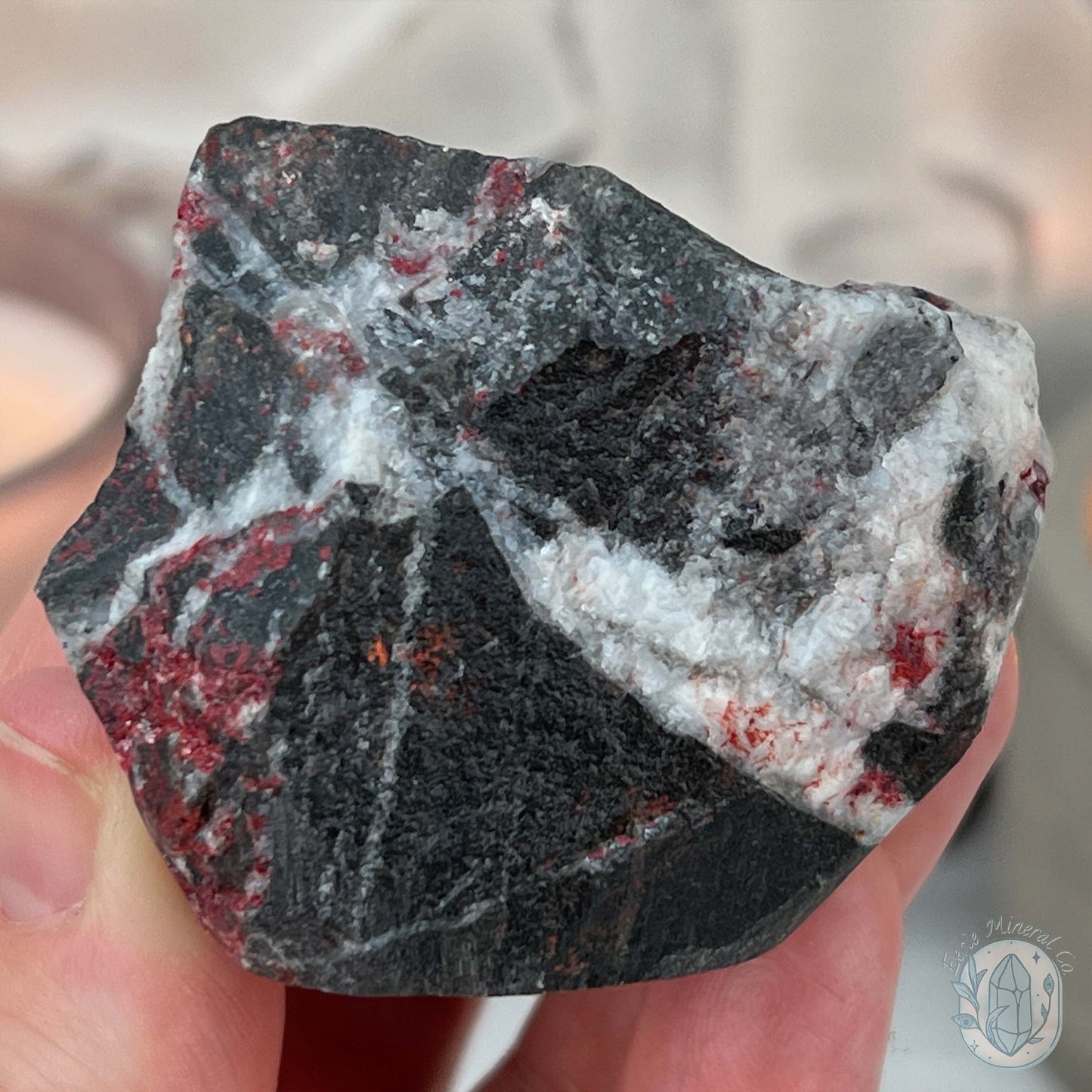 Raw Cinnabar Pet Rock Specimen