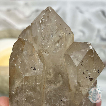 Natural Raw Citrine Crystal Cluster Point