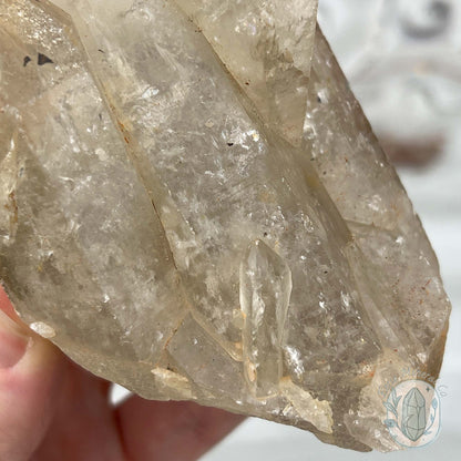 Natural Raw Citrine Crystal Cluster Point