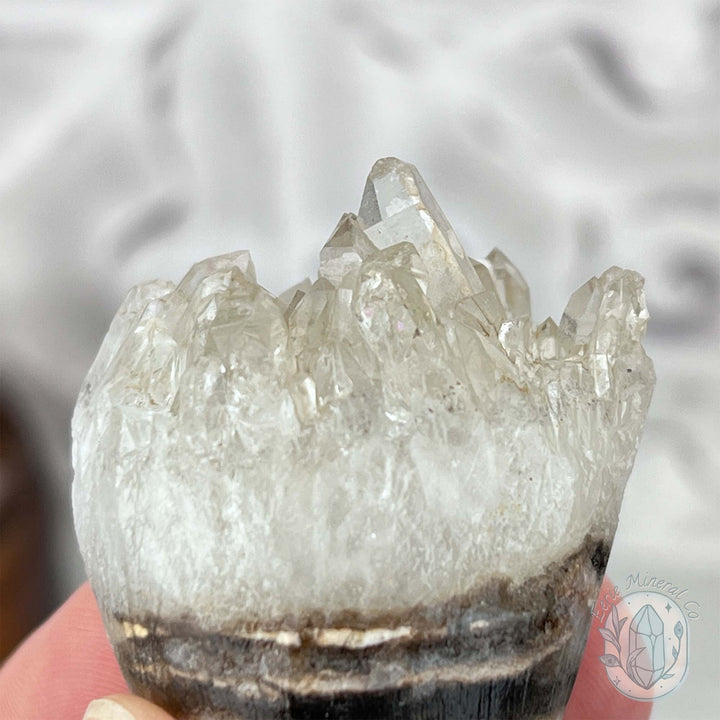 Clear Quartz Hedgehog Crystal Cluster