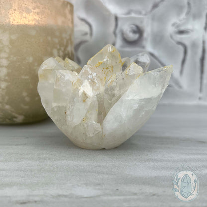 Clear Quartz Crystal Cluster Hedgehog Carving Specimen