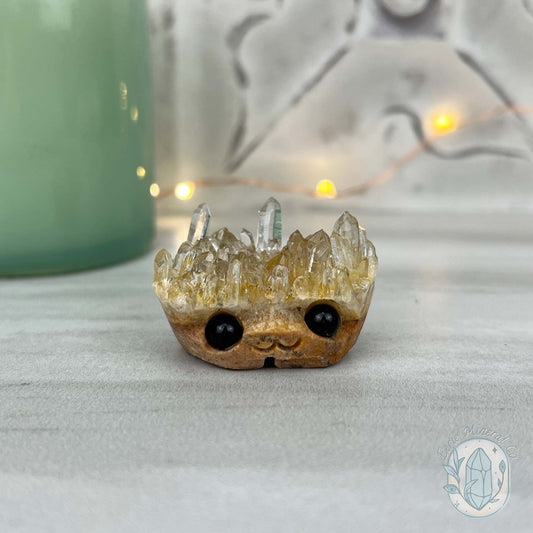Clear Quartz Crystal Cluster Pet Rock Carving