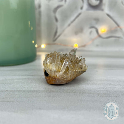 Clear Quartz Crystal Cluster Pet Rock Carving