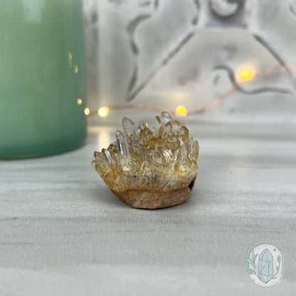 Clear Quartz Crystal Cluster Pet Rock Carving