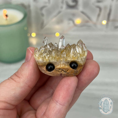 Clear Quartz Crystal Cluster Pet Rock Carving