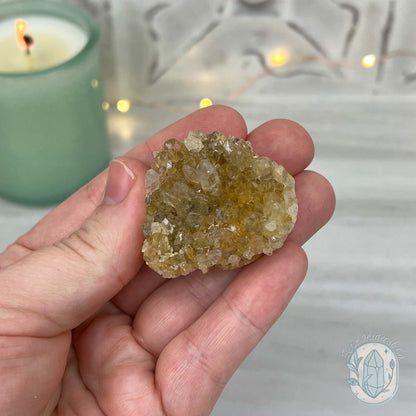 Clear Quartz Crystal Cluster Pet Rock Carving