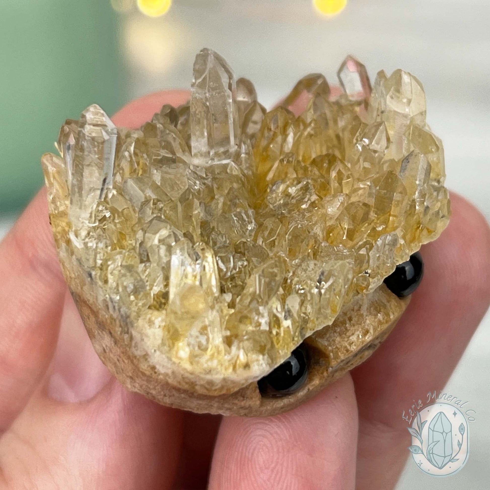Clear Quartz Crystal Cluster Pet Rock Carving