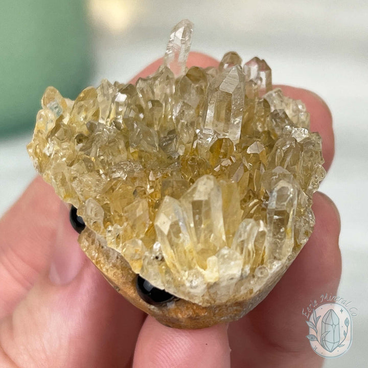 Clear Quartz Crystal Cluster Pet Rock Carving