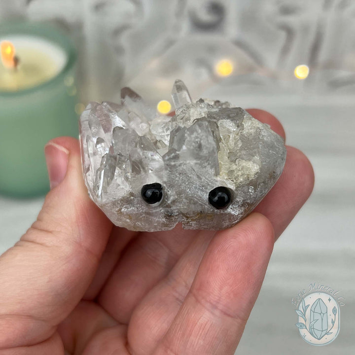 Clear Quartz Crystal Cluster Pet Rock Carving