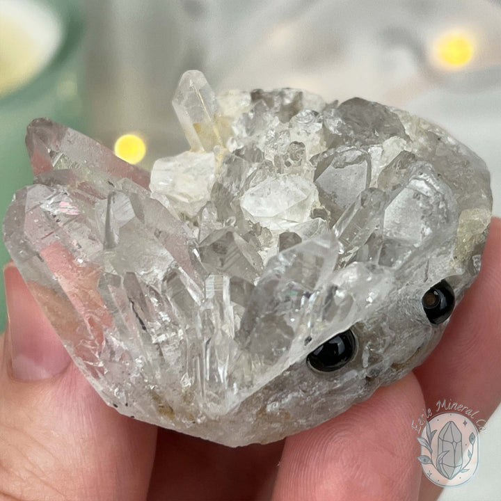 Clear Quartz Crystal Cluster Pet Rock Carving