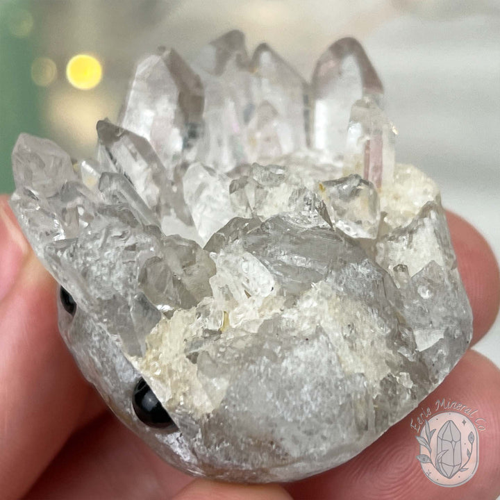 Clear Quartz Crystal Cluster Pet Rock Carving