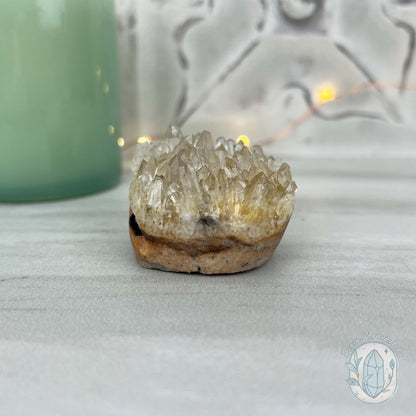 Clear Quartz Crystal Cluster Pet Rock Carving