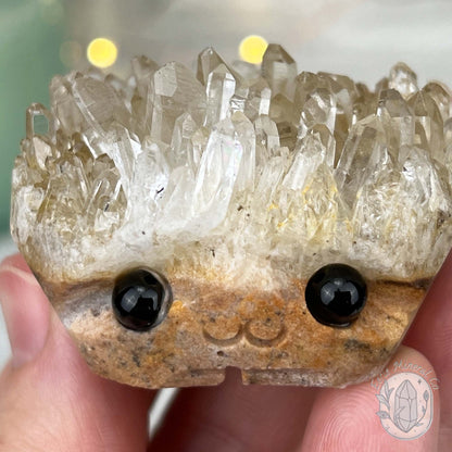 Clear Quartz Crystal Cluster Pet Rock Carving
