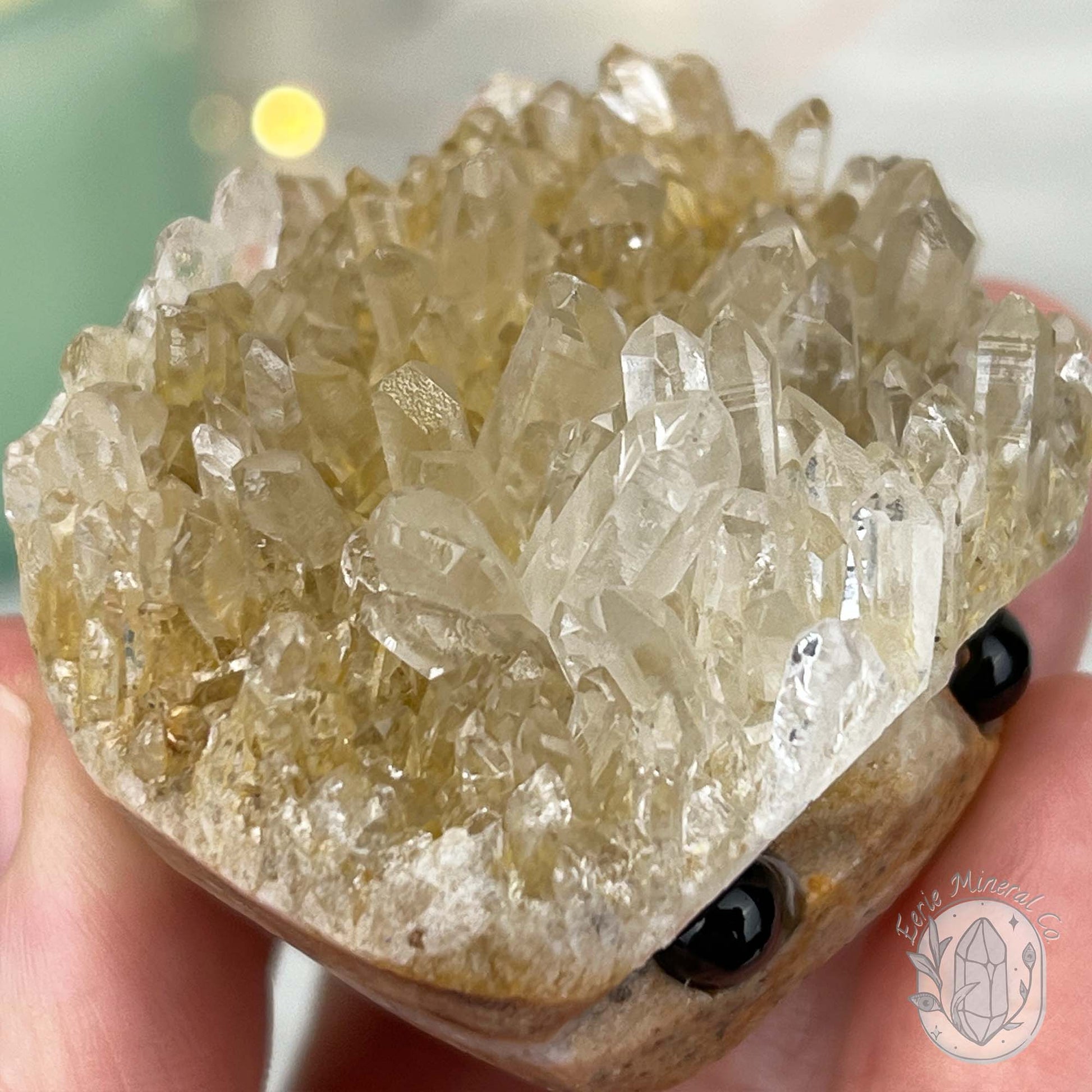 Clear Quartz Crystal Cluster Pet Rock Carving