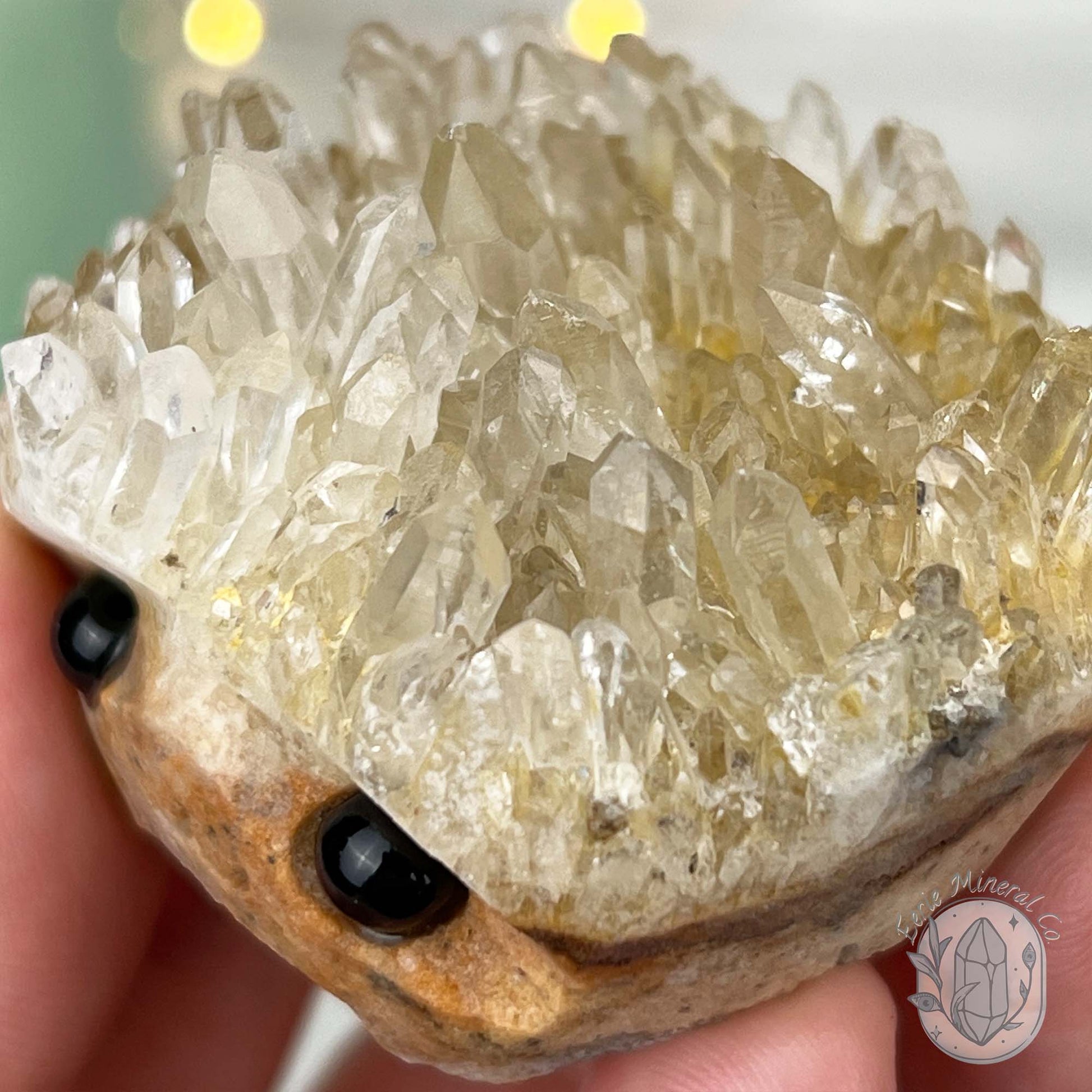 Clear Quartz Crystal Cluster Pet Rock Carving