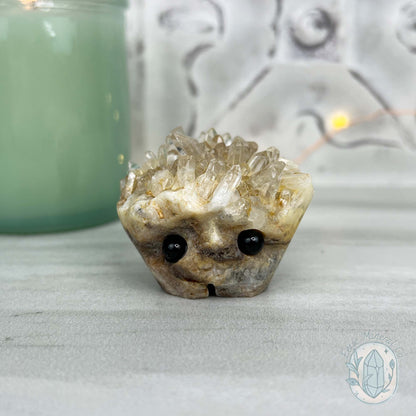 Clear Quartz Crystal Cluster Pet Rock Carving