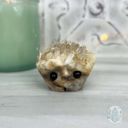 Clear Quartz Crystal Cluster Pet Rock Carving