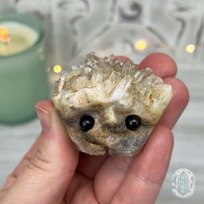 Clear Quartz Crystal Cluster Pet Rock Carving
