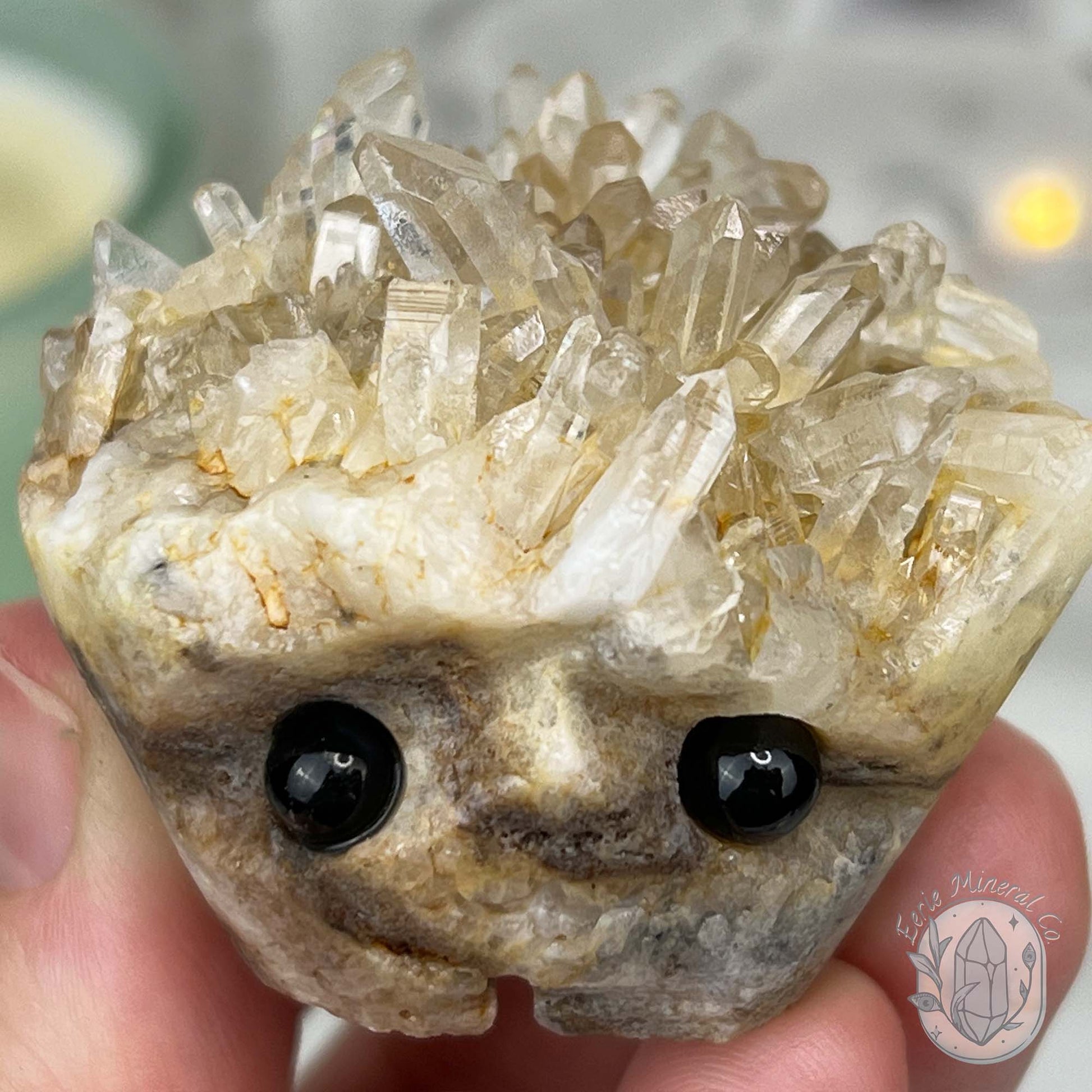 Clear Quartz Crystal Cluster Pet Rock Carving