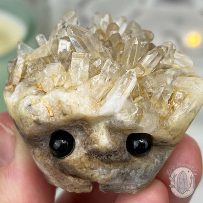 Clear Quartz Crystal Cluster Pet Rock Carving