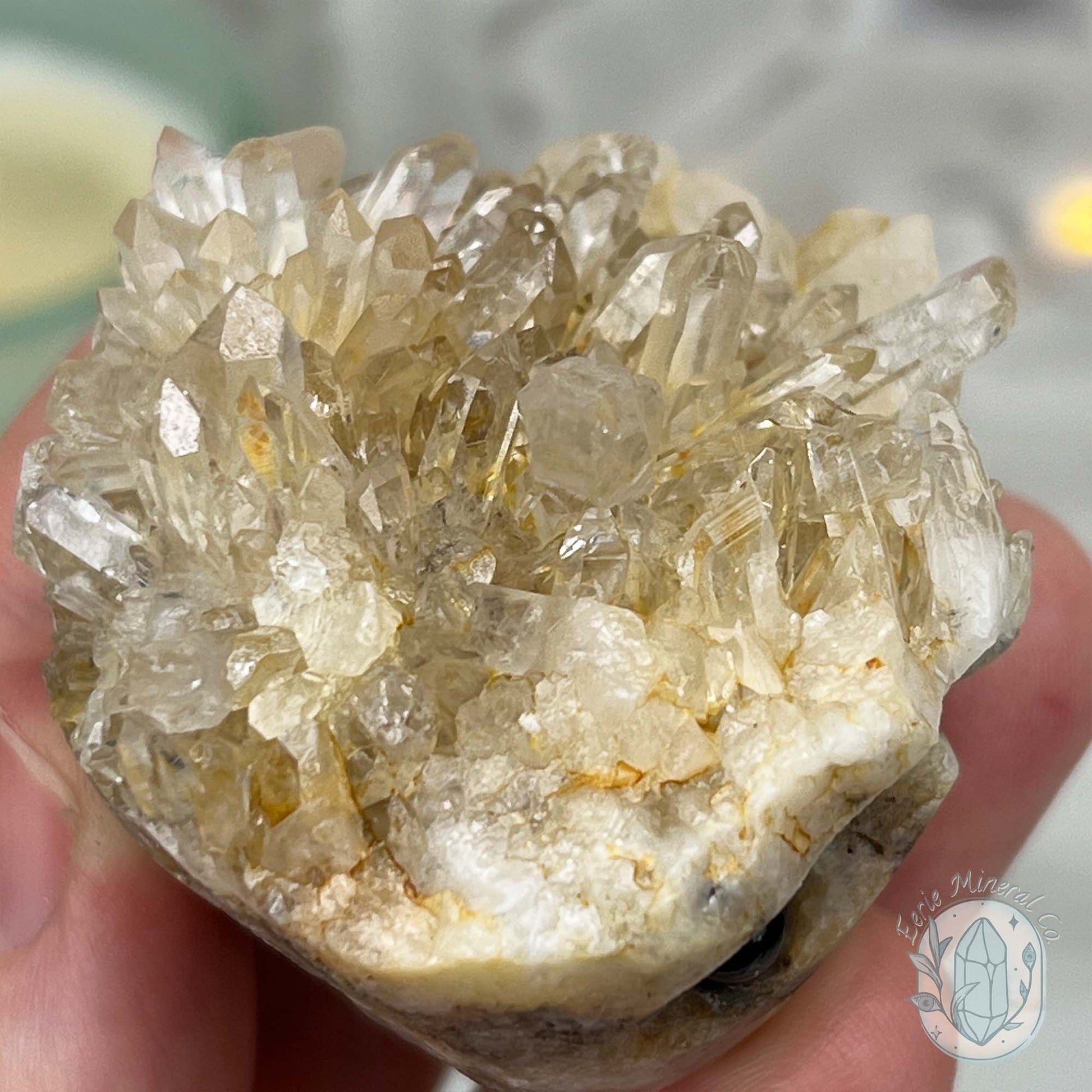 Clear Quartz Crystal Cluster Pet Rock Carving