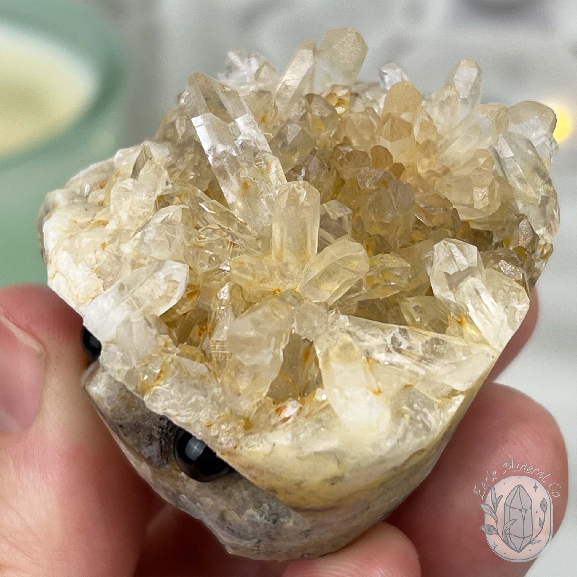 Clear Quartz Crystal Cluster Pet Rock Carving