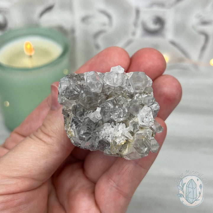 Clear Quartz Crystal Cluster Pet Rock Carving