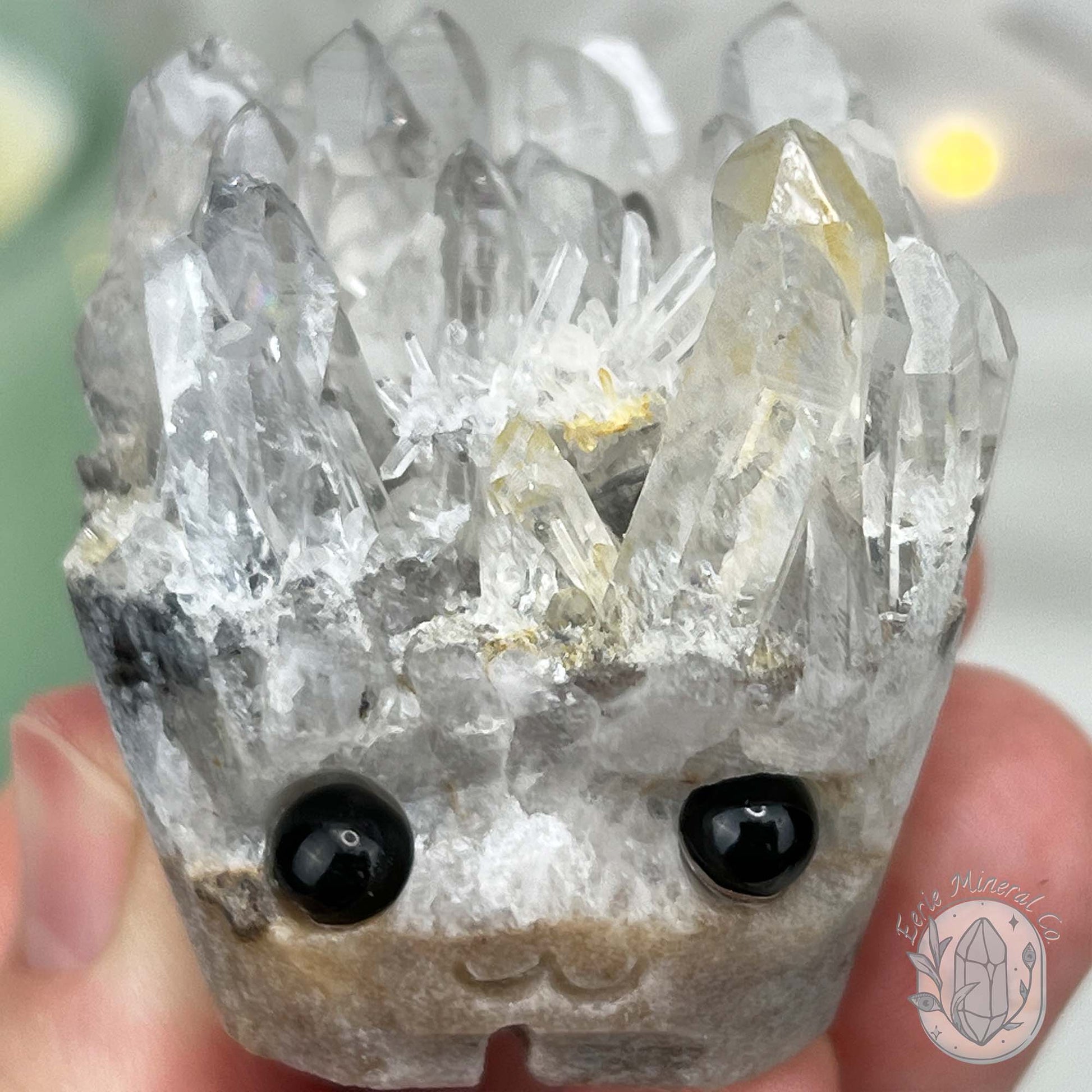 Clear Quartz Crystal Cluster Pet Rock Carving