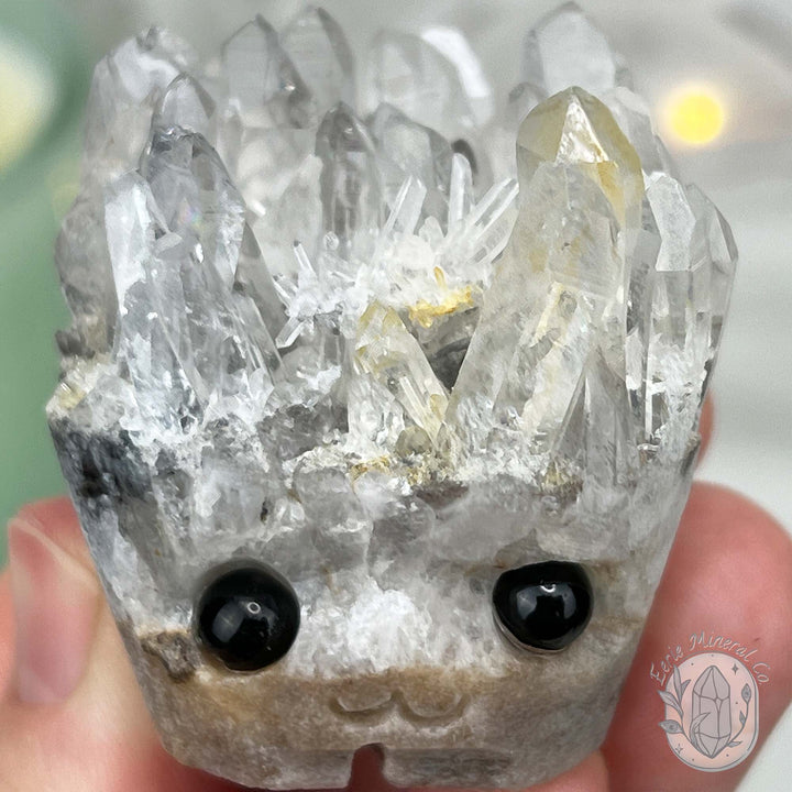 Clear Quartz Crystal Cluster Pet Rock Carving