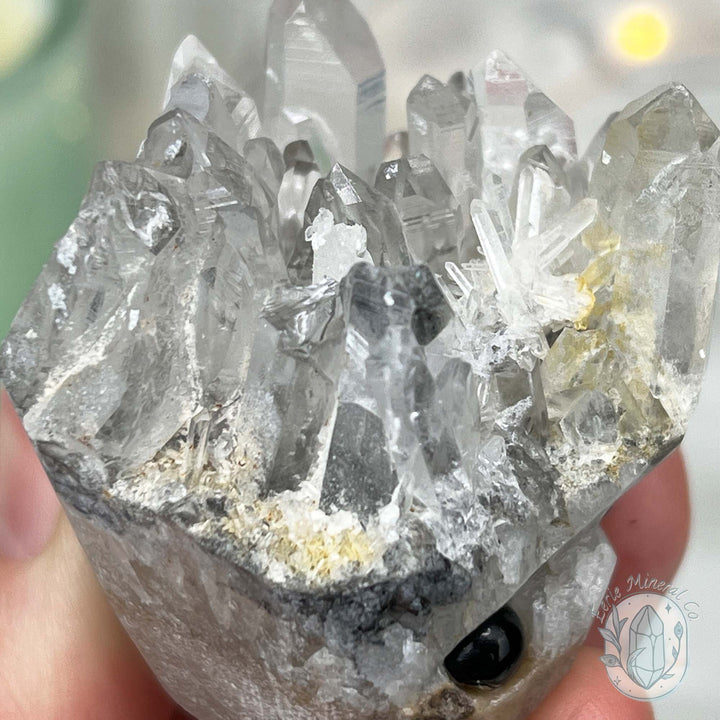 Clear Quartz Crystal Cluster Pet Rock Carving