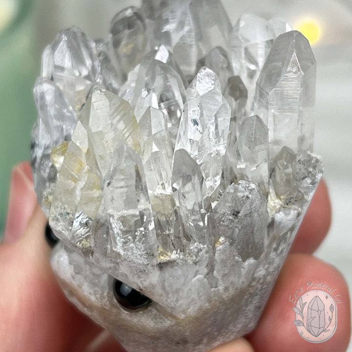 Clear Quartz Crystal Cluster Pet Rock Carving